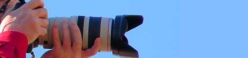 ct photography job